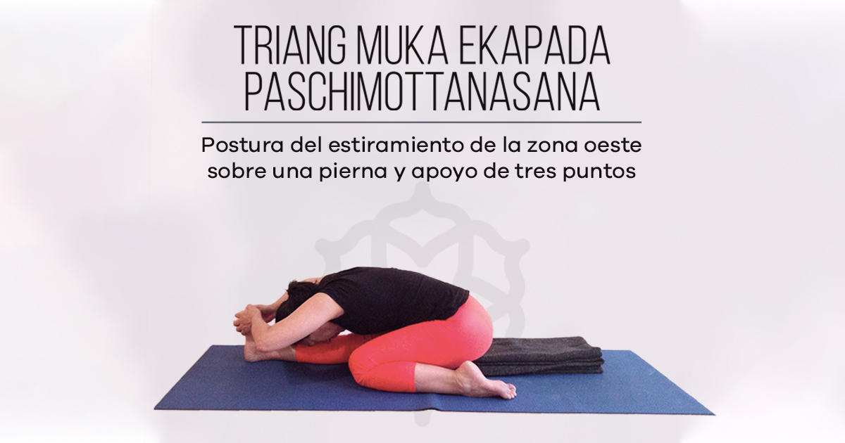 Triang Muka Ekapada Paschimottanasana • Yoga Espacio