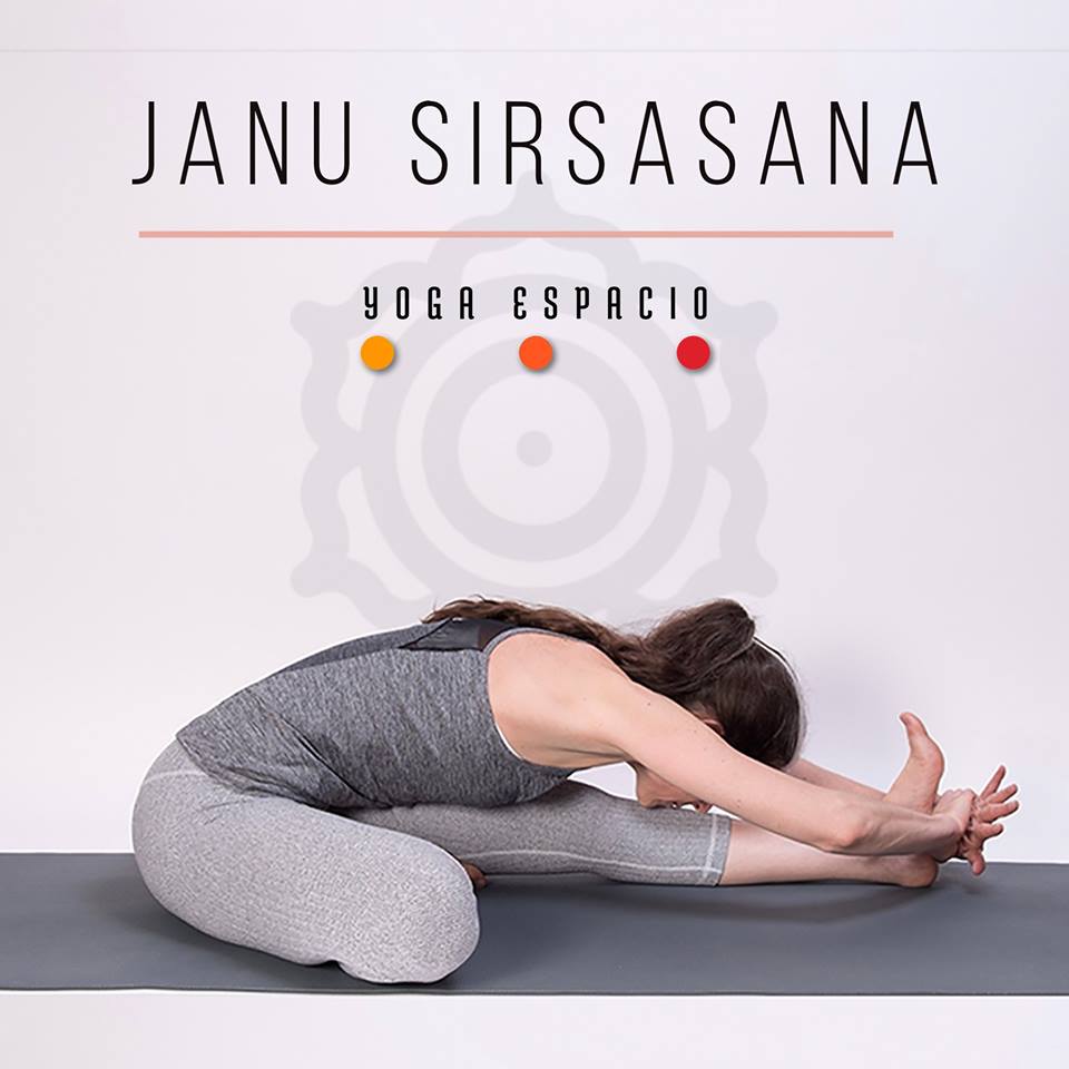 Janu Sirsasana C