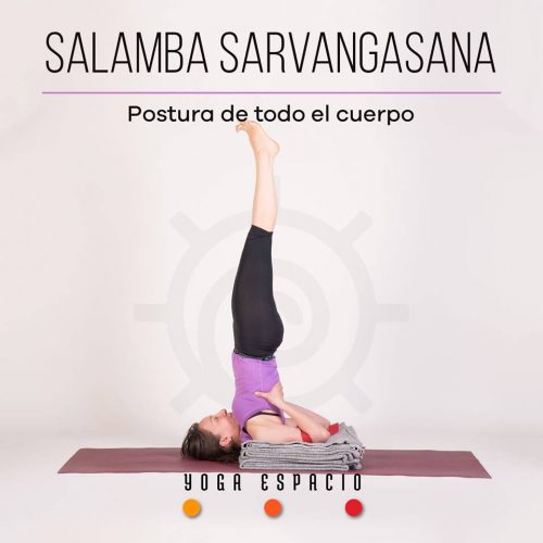 Utthita chaturanga dandasana • Yoga Espacio