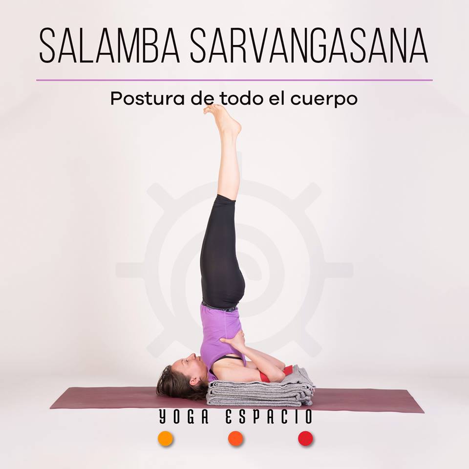 Salamba Sarvangasana • Yoga Espacio