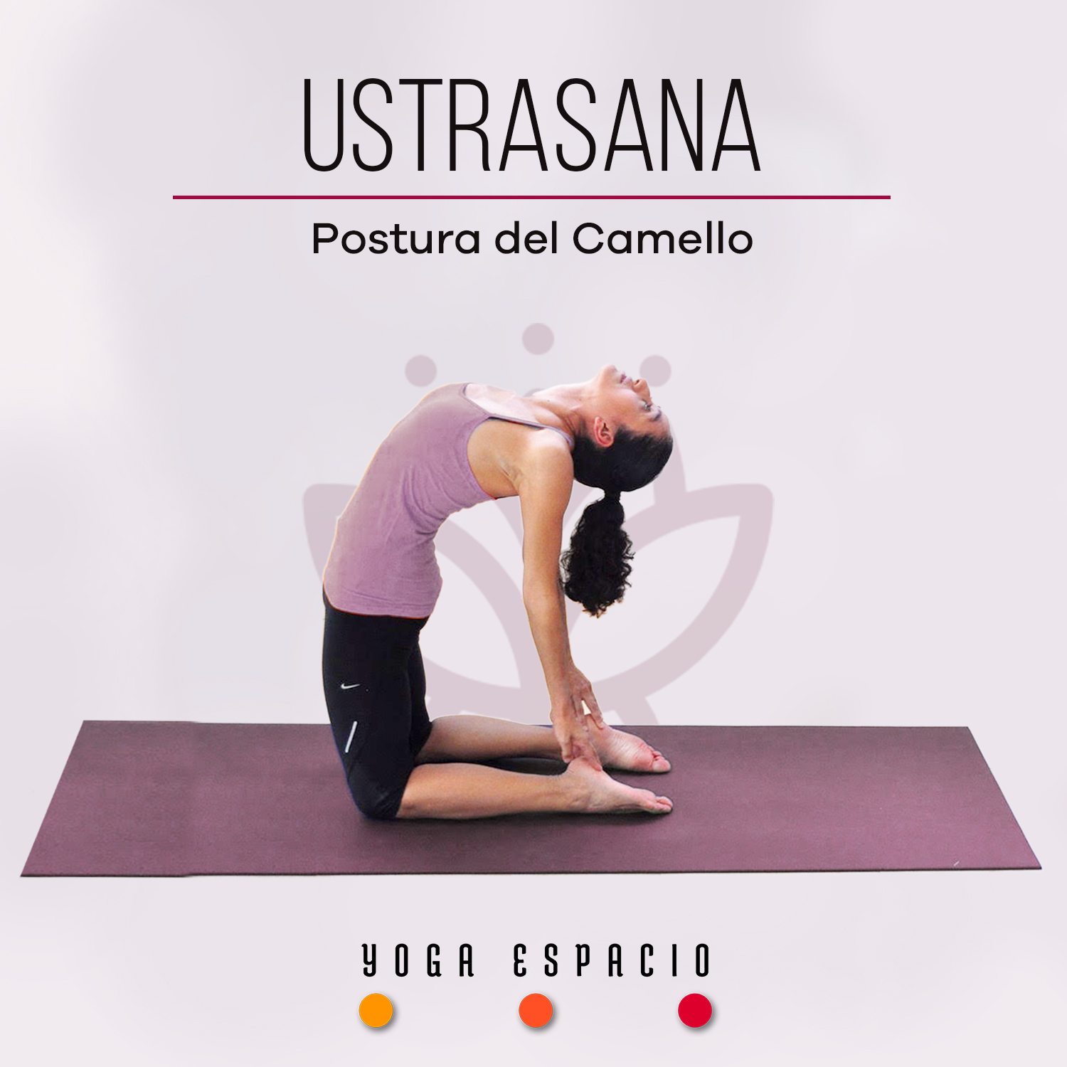 Ustrasana Yoga Ustrasana Yoga
