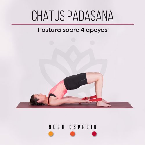 Utthita chaturanga dandasana • Yoga Espacio