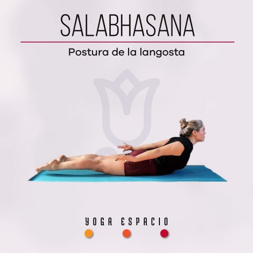 Utthita chaturanga dandasana • Yoga Espacio