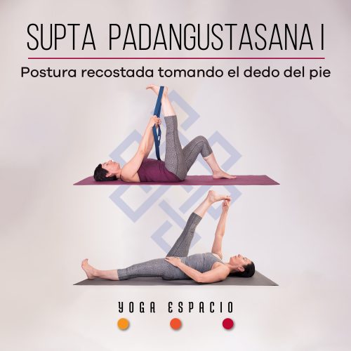 Utthita chaturanga dandasana • Yoga Espacio