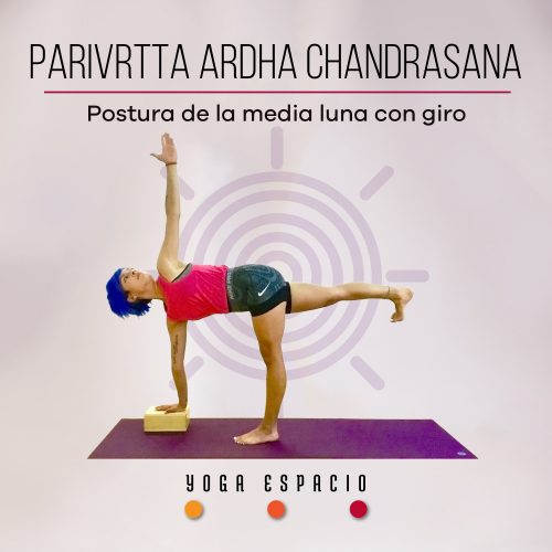 Utthita chaturanga dandasana • Yoga Espacio
