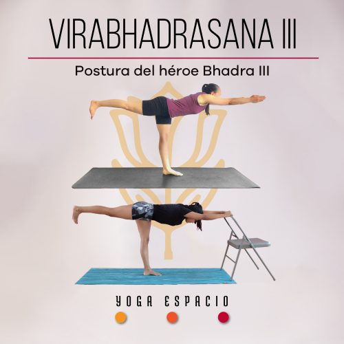 Utthita chaturanga dandasana • Yoga Espacio