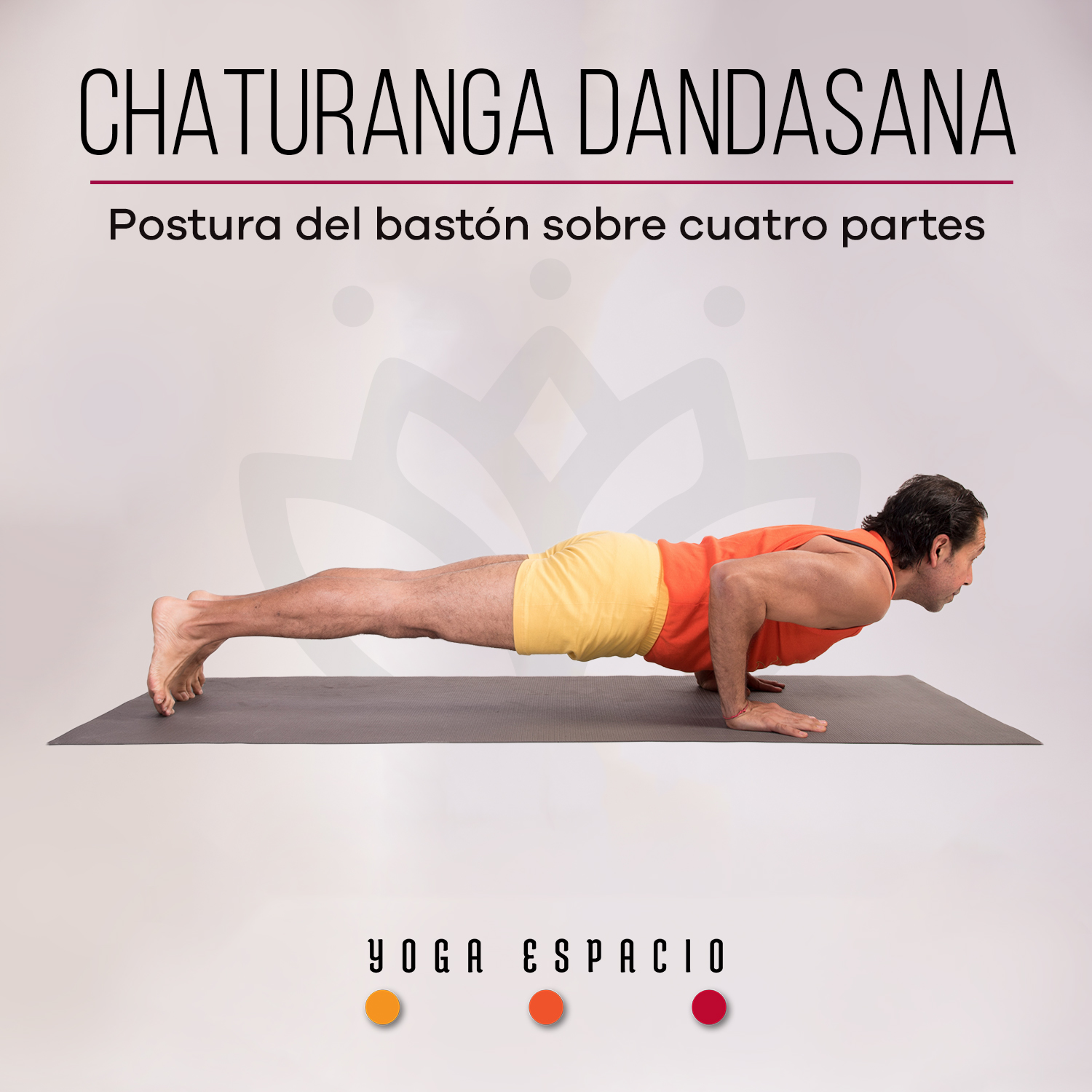 ❃ Chaturanga Dandasana ❃ Pasos, beneficios, variaciones