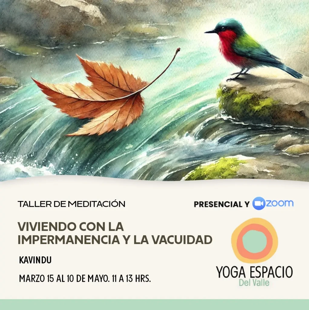 impermanencia