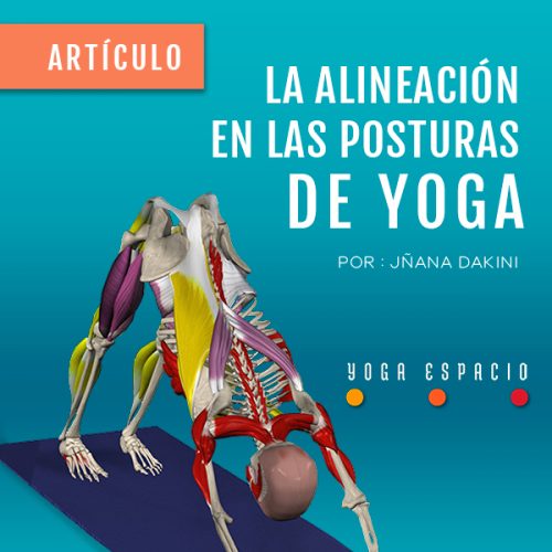 la-alineacion-en-las-posturas-de-yoga